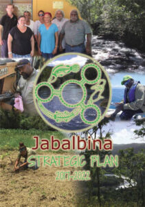 Jabalbina Strategic Plan Brochure 2017